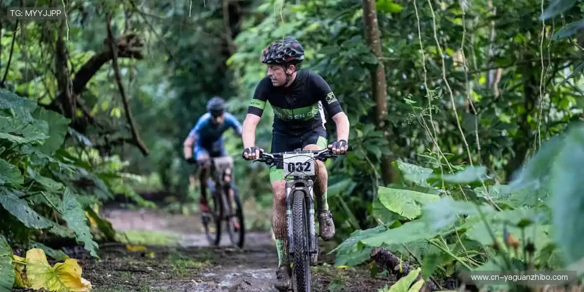 💻实时互动,弹幕与呐喊同频共振!📸